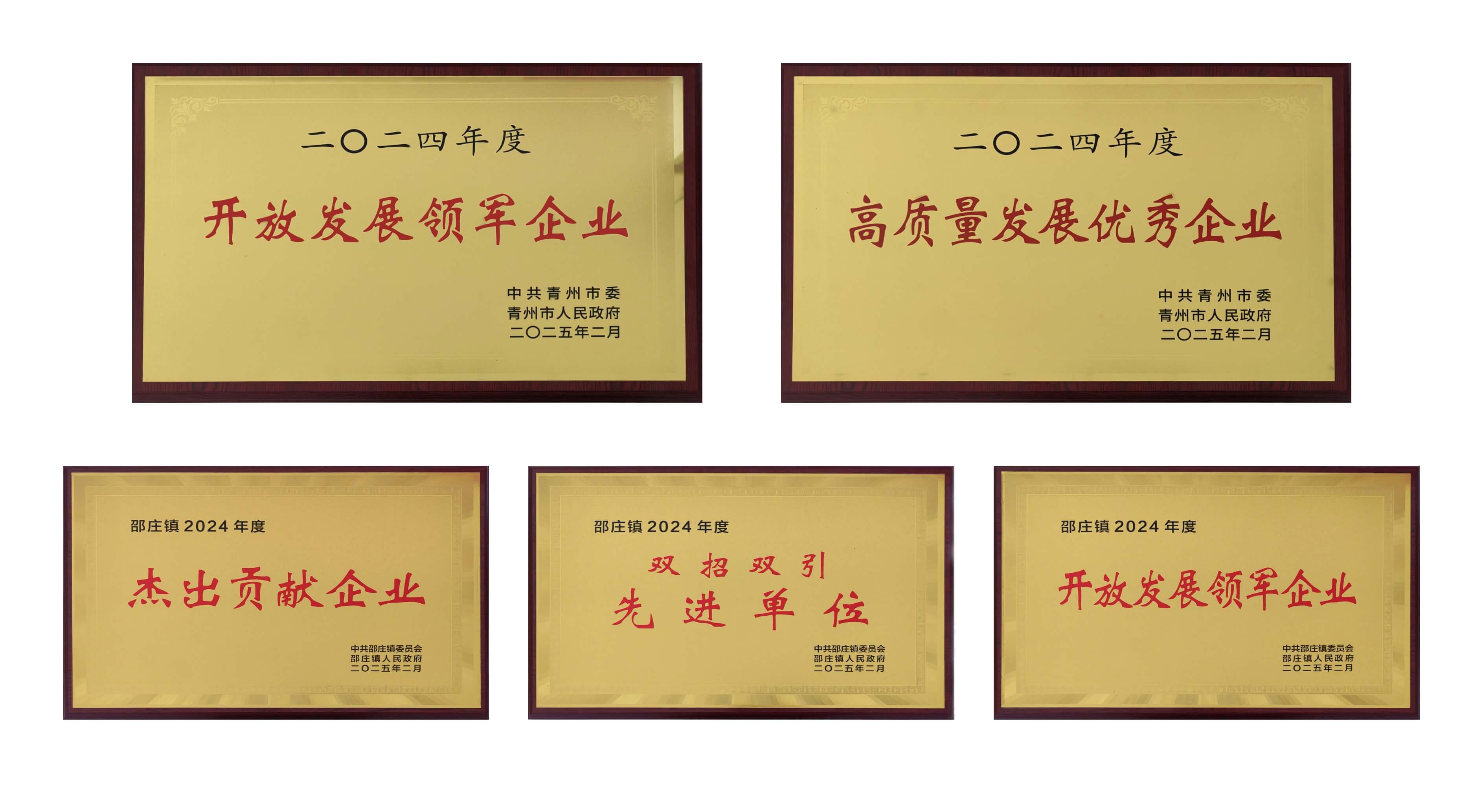 山東英科醫療榮獲多項殊榮