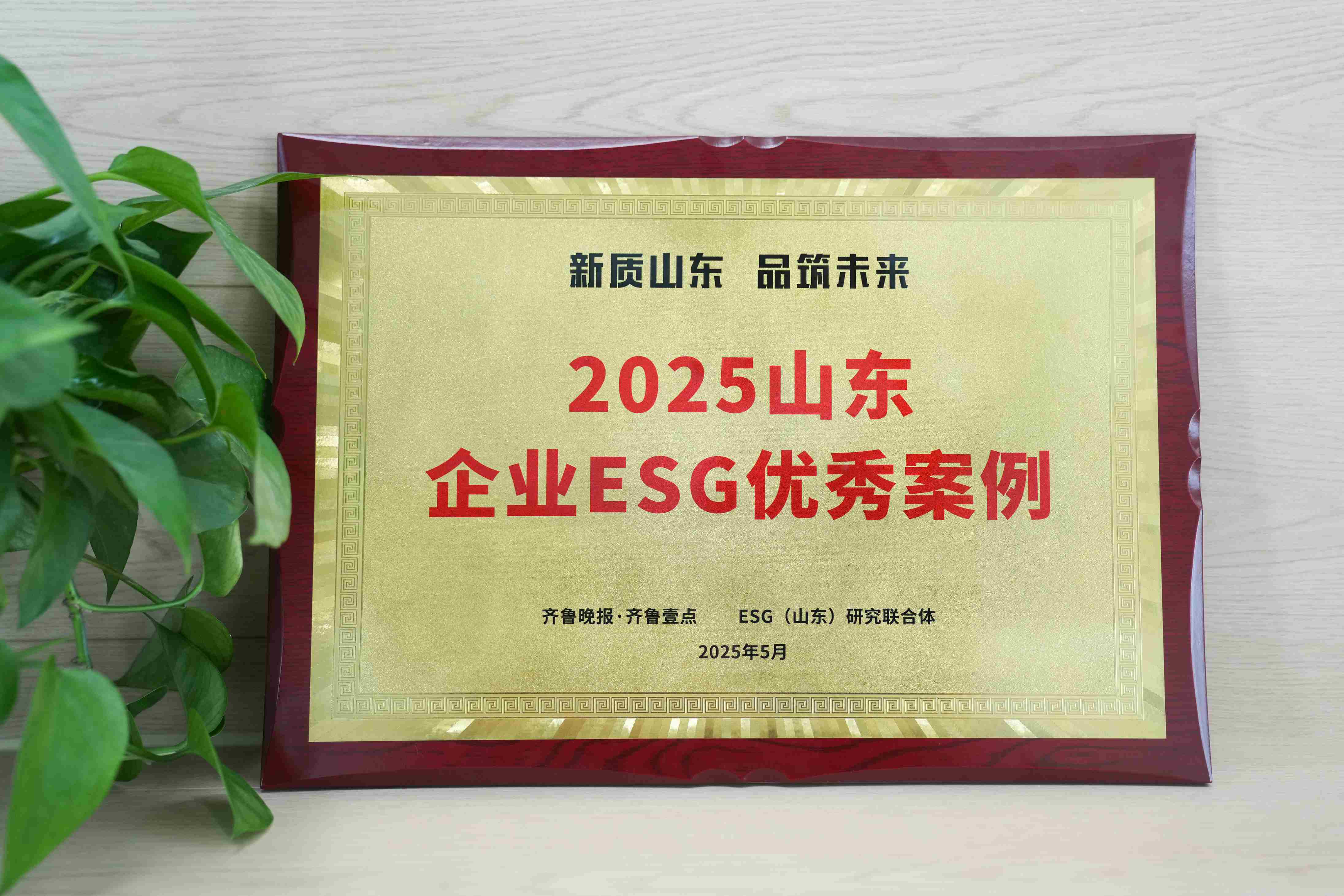 英科醫療入選2025山東企業ESG優秀案例